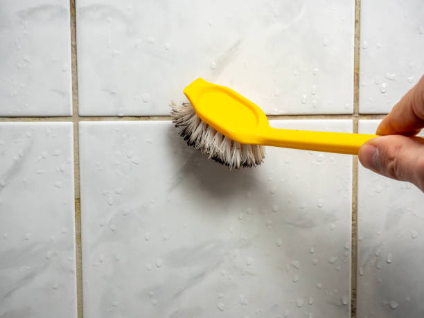 Best Residential Mold Removal  in Williamstown, KY