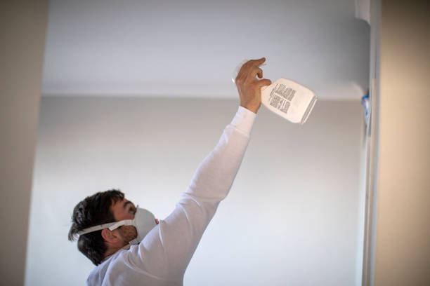 Best Crawl Space Mold Removal  in Williamstown, KY