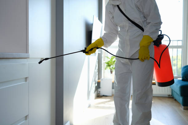 Best Mold Cleaning Services  in Williamstown, KY