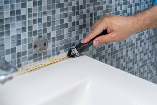 Best Toxic Mold Removal  in Williamstown, KY